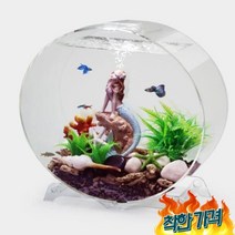 수조 어항 인테리어 장식 구피 금붕어 물고기키우기, 세트 1215L 표준 조경 3색