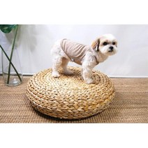 강아지 여름용 데일리 민소매티 브라운S~XL 먼치킨 샴, S