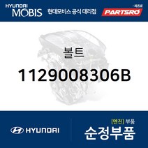볼트(1개) (1129008306B) 베르나 아반떼HD 클릭 투스카니 I30/I30CW 라비타 맥스크루즈 베라크루즈 싼타페 투싼IX 베르나 하이브리드 아반떼 하이브리드 현대모비스부품몰