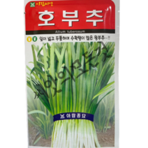 호부추씨앗2000립 빅차이나정구지 중국부추종자 아람