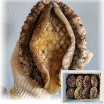 산지직송 국산 통영 자연산 전복 활전복 1kg 해녀가 직접 잡은 대 특대 왕특대 스페셜 어버이날 부모님 선물세트, 4_2. 대왕특대 전복 1kg(4미)