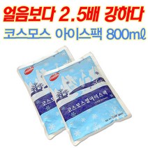 [라이펀] 코스모스 부직포 아이스팩(800ml) 2개, 단품