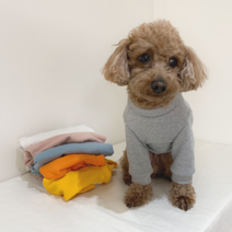 베이직 맨투맨 티셔츠 (핸드메이드 맞춤) 기본 강아지 티 xxs xs 2xl 3xl 4xl 초소형견 옷 중형견 대형견 셔츠, 블루