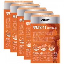 GNM 루테인11 비타민+미네랄 5박스(총 5개월분) /비타민B, 루테인11 5박스 5개월분