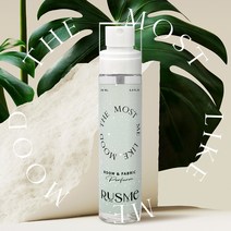 [러스미] 룸&섬유향수 드레스퍼퓸 100ml 6종 사은품 엽서증정 비누 복숭아 숲 꽃집 머스크향 니치향수, 5 잇츠 스프링 100ml