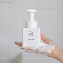 [오늘부터어성초]데일리 밸런스 어성초 버블클렌저 250ml, 1개