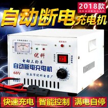 전기삼륜차 사륜차 48v60v72배터리 고출력 급속충전기, 일반 순동 72v 충전기