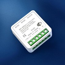 양방향 제어 스마트 홈 오토메이션 모듈을 지원하는 0A 미니 소형 Tuya 와이파이 DIY 스위치 알렉사 구글, 01 10A