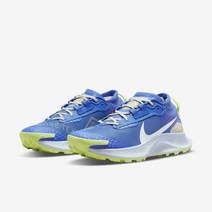 국내매장용 나이키 페가수스 트레일 3 GORE-TEX 여성 워터프루프 트레일 러닝화 미디엄 블루 파란색 운동화 DC8794-400