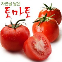 [명가일품] 자연을 닮은 전라도 토마토 정품 3kg (4-5번과), 상세 설명 참조, 상세 설명 참조