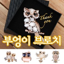 부엉이 브로치/뱃지/어버이날/스승의날