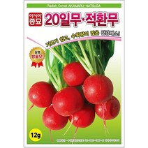 A-20일무적환무 12g 무씨 무종자 무씨앗