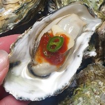 [미미의밥상] [산지발송] 당일새벽조업 통영 1등급 제철 하프쉘굴 30미, 상세 설명 참조