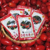 초록사랑 구례 산수유즙 산수유액기스, 30포, 100ml