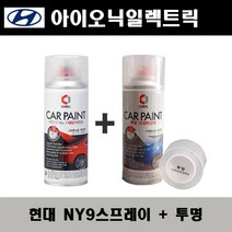 현대 아이오닉일렉트릭 NY9 트랜스미션블루펄 주문스프레이 + 투명스프레이 자동차 도색 차량용 카페인트, NY9 스프레이(제일)+투명스프레이(제일)