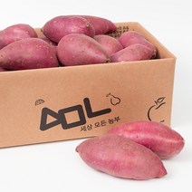 세상모든농부 최상품 꿀고구마 꿀단지 고구마, 세모농 꿀고구마 3kg (특)