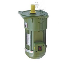 3상유도전동기 단상모터 0.2kW AC 220V 380V 3 상 중형 기어드 모터 저속 대형 토크 수직 설치 산업용 교반, 13 16.6rpm