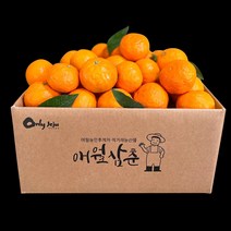 품질보증 제주 고당도 카라향 3kg 5kg 10kg 가정용/선물용, 제주 고당도 카라향 10kg(가정용/중소과)