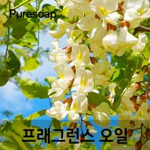 퓨어솝 아카시아(Acacia) 프래그런스오일 (인공향 캔들 디퓨저 방향제) 캔들 디퓨져 화장품 만들기, 30ml