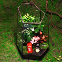 테라리움 키트 글래스 하우스 이끼테라리움 만들기 DIY 비바리움, 벚꽃나무아래(조립모델)