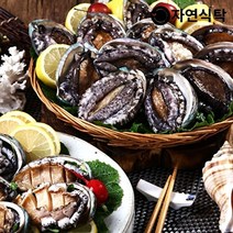 자연식탁 [산지직송]완도직송 활 전복1kg(20~22미)