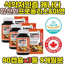 캐나다직수입 대용량 항산화 프로폴리스 아연 x3통 영