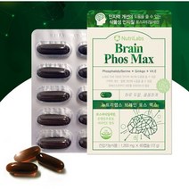 뉴트리랩스 브레인 포스맥스 포스파티딜세린 징코 1200mg x 60캡슐, 3박스
