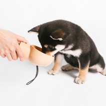피단 강아지물병 여행용 휴대용 산책용