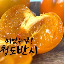 씨없는 단감 청도 반시 대봉감, 반시 중과(31-35) 5.0kg내외