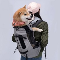 강아지 포대기 대형견 배낭형 이동가방 백팩 애견 앞가방, 날개형, 블랙