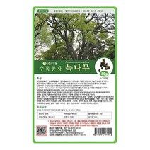 [다농] 녹나무씨앗 500g[SG], 상세 설명 참조