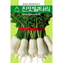 진맛 알타리 무 씨앗 20g 총각 김치 동치미 종자 뿌리 균일 상품성 좋음 대면적 영리 재배 텃밭 채소 농사 김장
