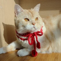 주썸 고양이 강아지 새싹반케이프 핸드메이드 손뜨개, 빨강