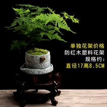 테이블 모양 책상 동물 독특한 작은 화분 식물 미니 소형 만손초 심플 선인장, 꽃꽂이, 크다