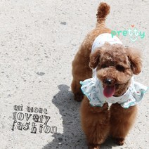 댕댕이 편한옷 강쥐 봄 강아지 베들링턴테리어 빠삐용강아지 삽살개 파티푸들 소형견 파티푸들 하트체리프릴티, 아이보리