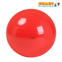 짐닉 클래식 짐볼 85cm 빨강, 없음