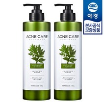 샤워메이트 사철쑥 바디워시 500g x2개, 단품