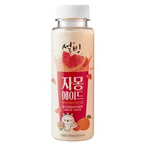 [서울에프엔비] 설빙 자몽에이드 250ml X 12개입, 12개