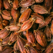 치자 600g 치자열매 한방재료 한약재, 1346_치자 600g