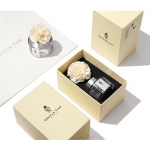 젠틀티안 차량용 디퓨저 100ml +고급포장 패키지 방향제, E. 블루마린 +고급박스 패키지