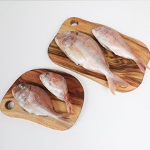 자갈치닷컴 냉동도미 도미, 1개, 20-23cm전후 5마리