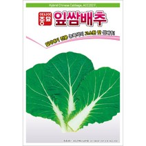 아시아종묘 배추씨앗 잎쌈배추 (500립)