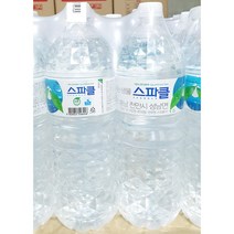 무배_스파클 생수(2L x6) 업소용, 1