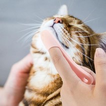 JollyDog PET 고양이 턱드름 브러쉬 꼬드름 블랙헤드 관리, 02턱드름브러쉬-블루, 02턱드름브러쉬-블루