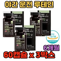 눈의 침침함 자주 스마트폰 TV 야간 운전 루테인 운전 빛번짐 뻑뻑 망막 모세혈관 컴퓨터 직장인 회사원 모니터 스마트폰 개선 황반색소 보호 눈의 안압 에 좋은