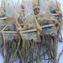 울릉도 당일잡이 마른 오징어 다리(중) 200g