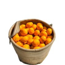 [러뷰팜] 23년도 제주 귤 하우스 감귤 가정용 제철 고당도 1kg 1.5kg 2.5kg 4.5kg, 하우스 감귤 로얄과 S~M 14~24과 1.5kg, 1개