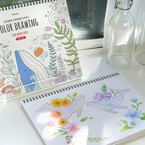 고래 컬러드로잉 - 쉬운버전/색칠놀이 고래일러스트