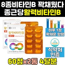 종근당 고농축 메가도스 수용성 비타민 비 b 맥스 2통 엽산 고함량 리보플라빈 컴플렉스 나이아신 b3 플러스 b12 판토텐산 b9 비군 엑티브 100 메가b 종합 콤플렉스 고용량 영양제 캡슐 정, 60정, 2개