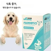애완 동물 영양 프로바이오틱스 체력 강화 위장 건강 보호 개와 고양이를 위한 분말 식품 10 봉지/상자, 위장소화